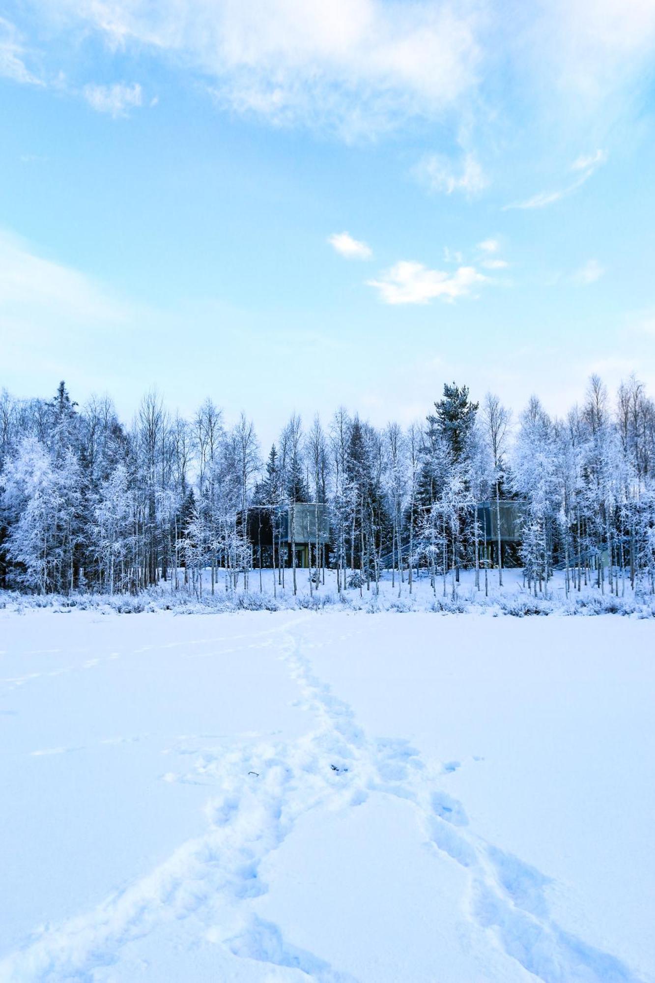 רובניימי Silver Birch Resort Lapland מראה חיצוני תמונה