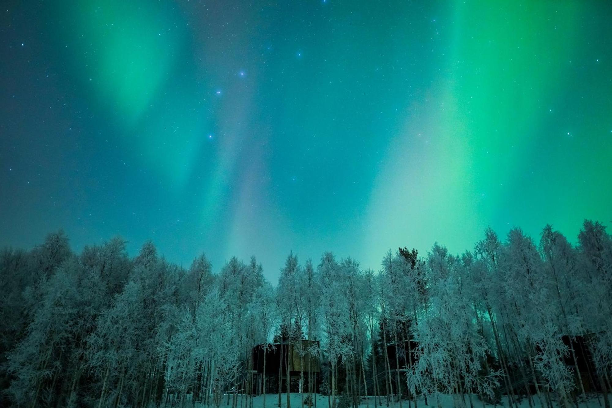 רובניימי Silver Birch Resort Lapland מראה חיצוני תמונה